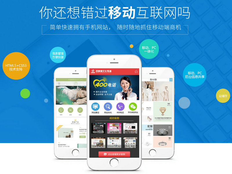 企業(yè)網(wǎng)站建設(shè)套餐：WAP版本